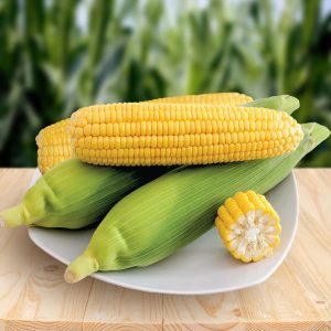 How to Plant Sweet Corn for Big Fruits and Fertilization