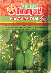 Mentimun CITRA BABY F1 - Reguler Pouch