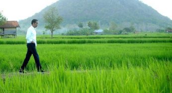Agricultural Industry as the strength of Nation