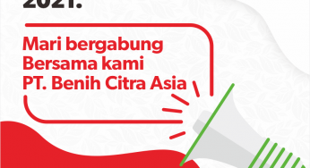 Info Lowongan Kerja Di PT Benih Citra Asia