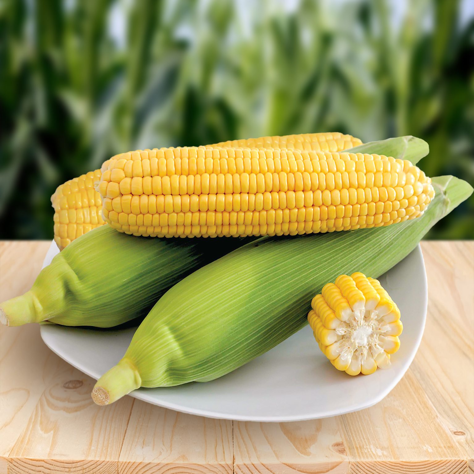 How to Plant Sweet Corn for Big Fruits and Fertilization Blog Bintang