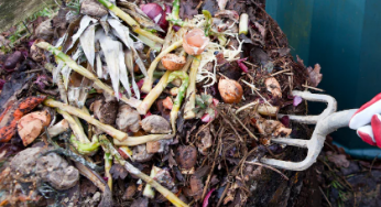 Garden Composting Tips- The Art of Composting
