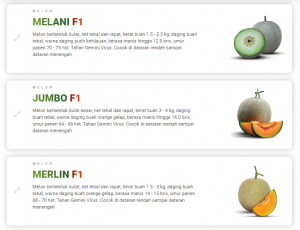 how to choose the correct melon seeds