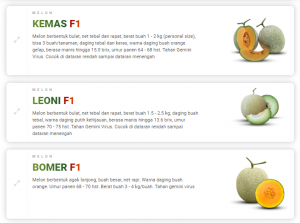 how to choose the correct melon seeds