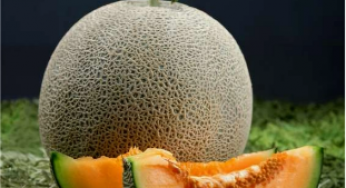 how to choose the correct melon seeds