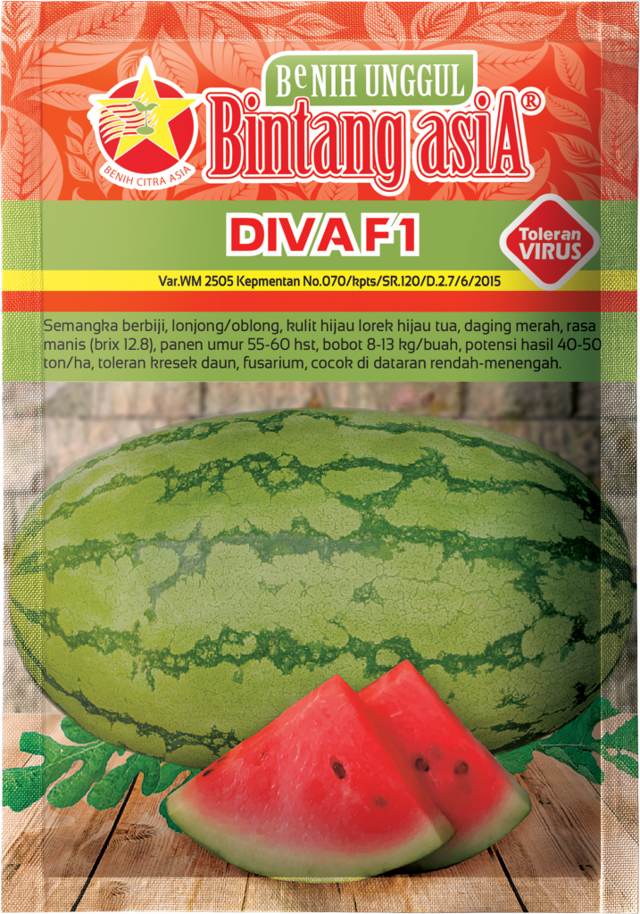 10 Best Watermelon Seed Types In Indonesia - Blog Bintang AsiA