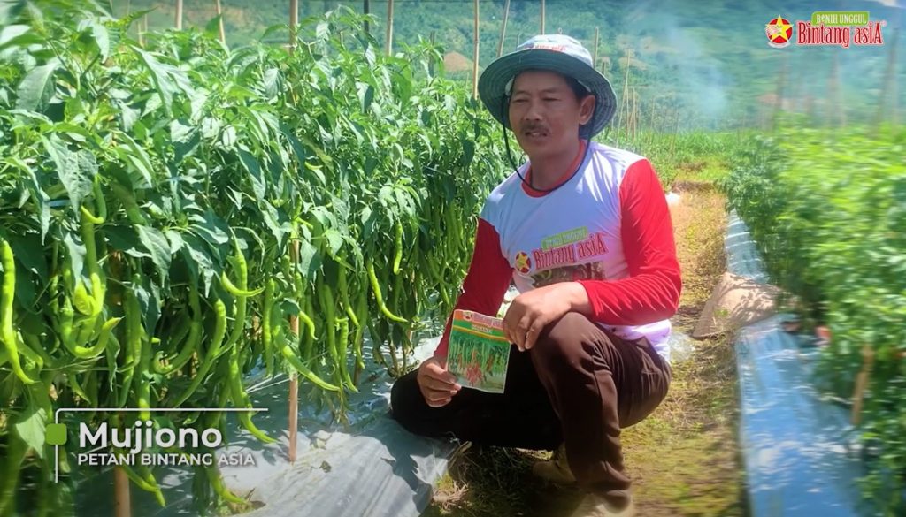 The Success Story of Mr. Mujiono in Jember