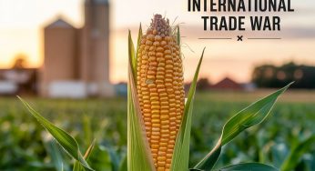 Strengthening Indonesia’s Seed Industry in a Time of Global Trade Wars